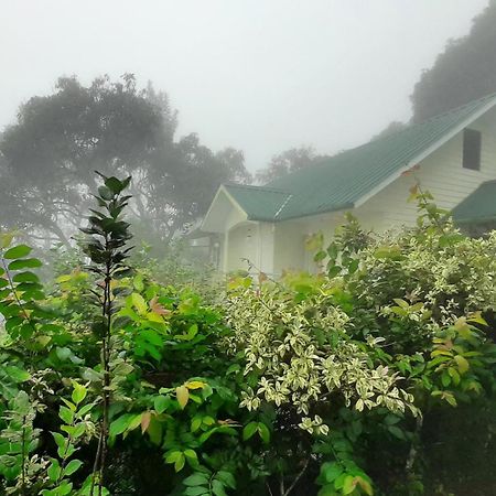 Summer Dew Anachal Exterior photo